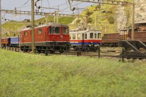 MECF, Modelleisenbahn Club Flawil 