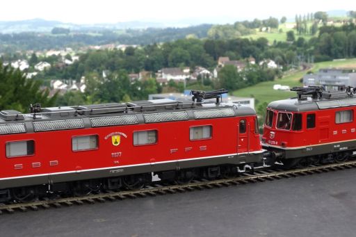 MECF, Modelleisenbahn Club Flawil 